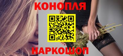 СК Кингисепп