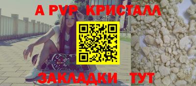 СК Кингисепп