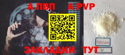СК Кингисепп