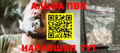 СК Кингисепп